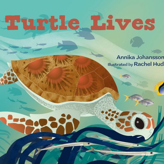 Turtle Lives